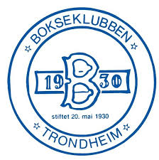 Ammerud Basket logo